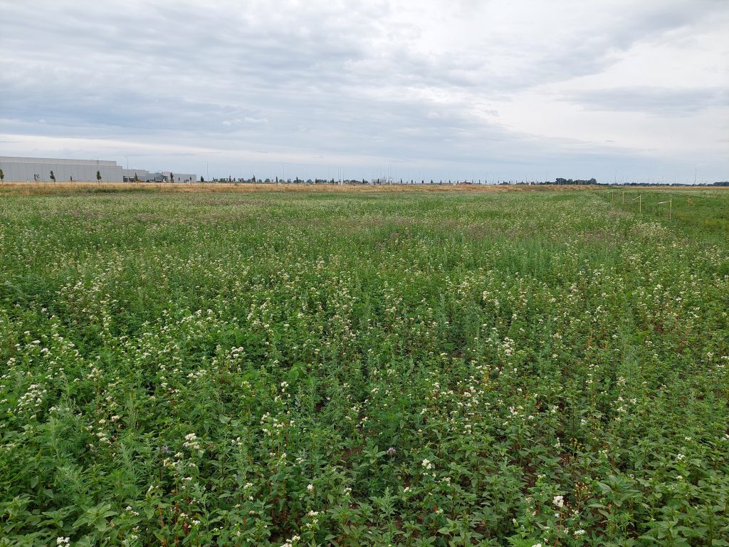 BMW Biodiverse 3 BMW Debrecen