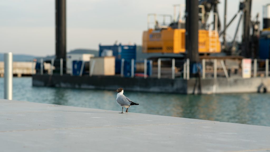 Balatonfüred kikötő Solum 8 Balatonfüred Vitorláskikötő