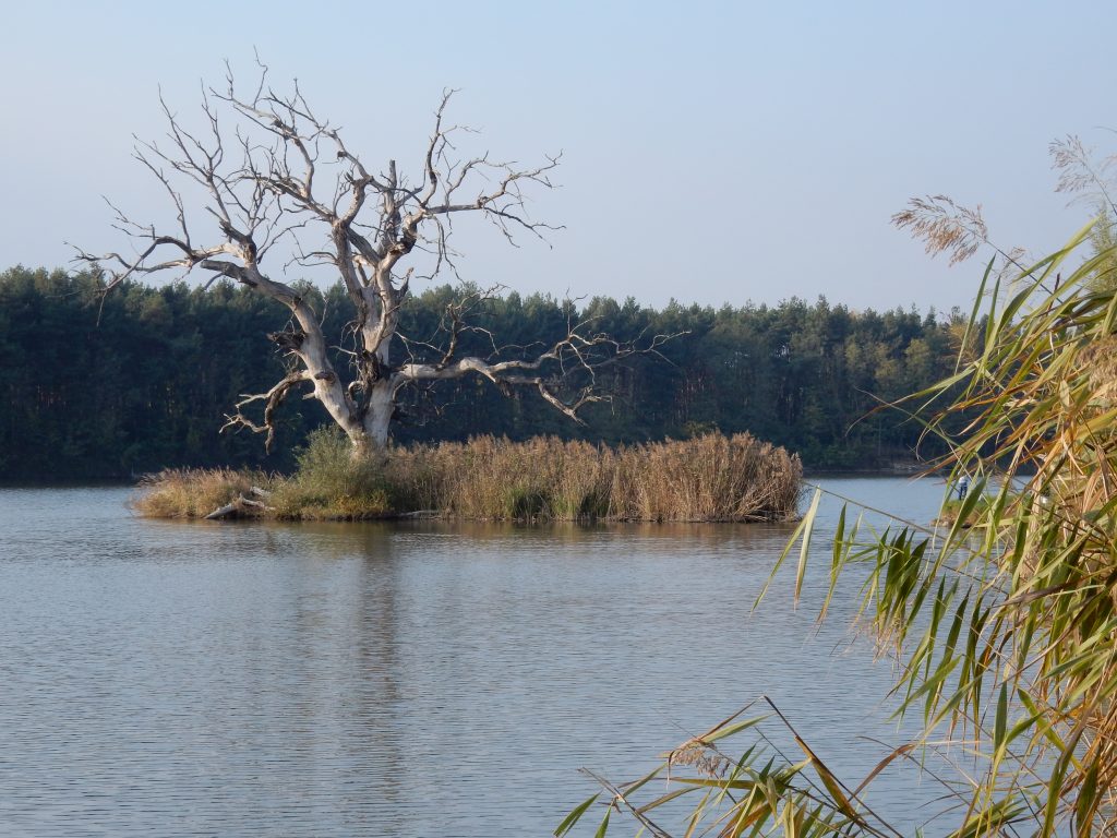 Boronka wetland 3 Boronka-melléki Tájvédelmi körzet
