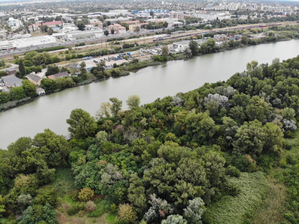 Csepel Közpark wetland 3 Csepel Közpark