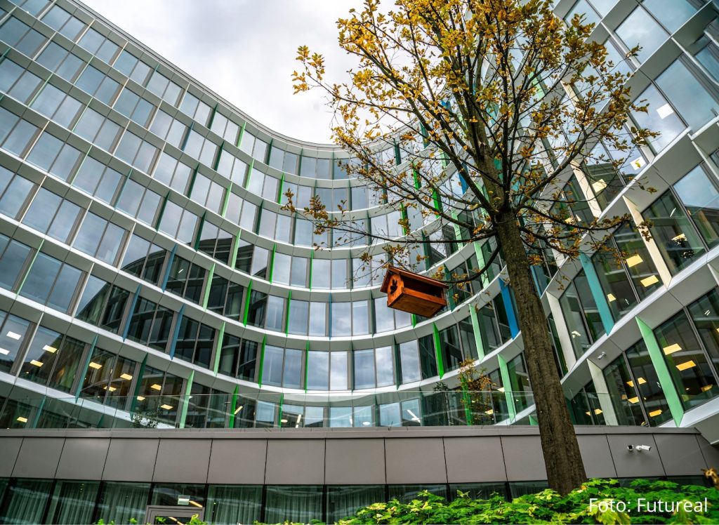 Fenntarthatósági tanulmányok