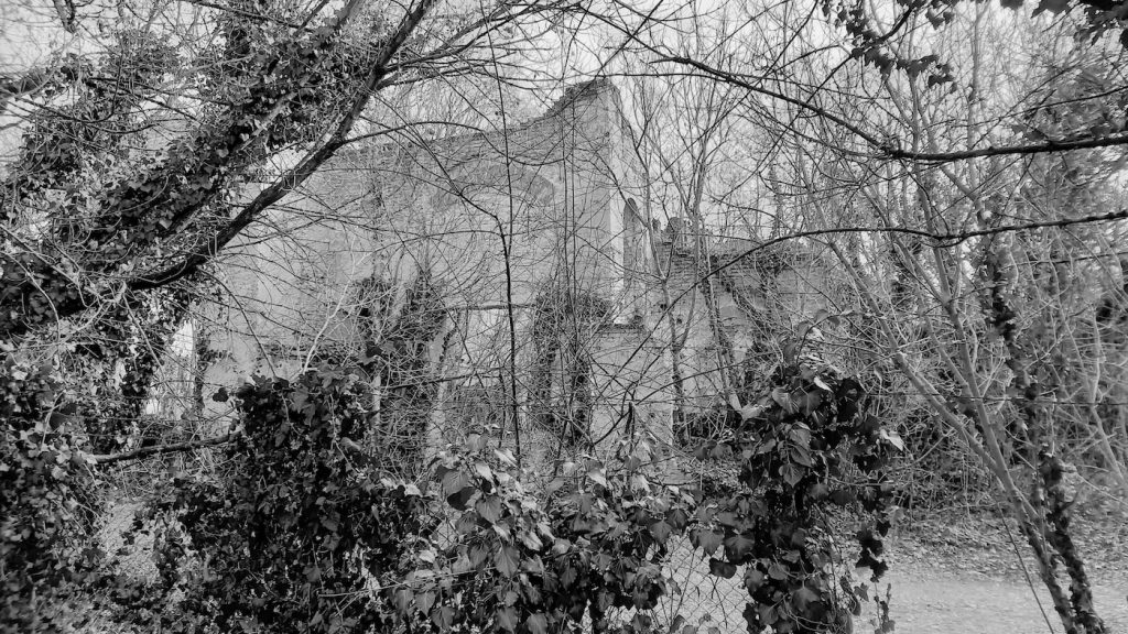 Környezeti átvilágítás (EDD)